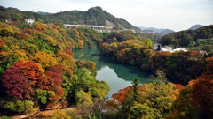 紅葉２０１０　α