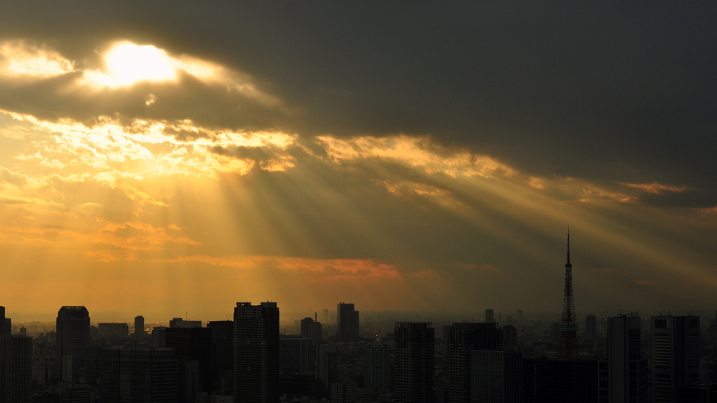 昨日の夕景α