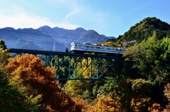 鉄道と紅葉