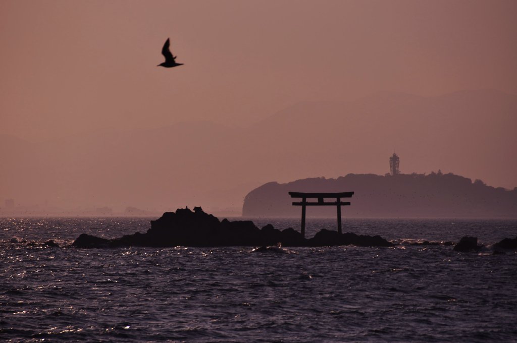 菜島の鳥居と江ノ島