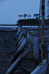 浜の杭