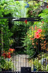 Garden Gate