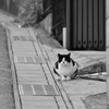 警戒