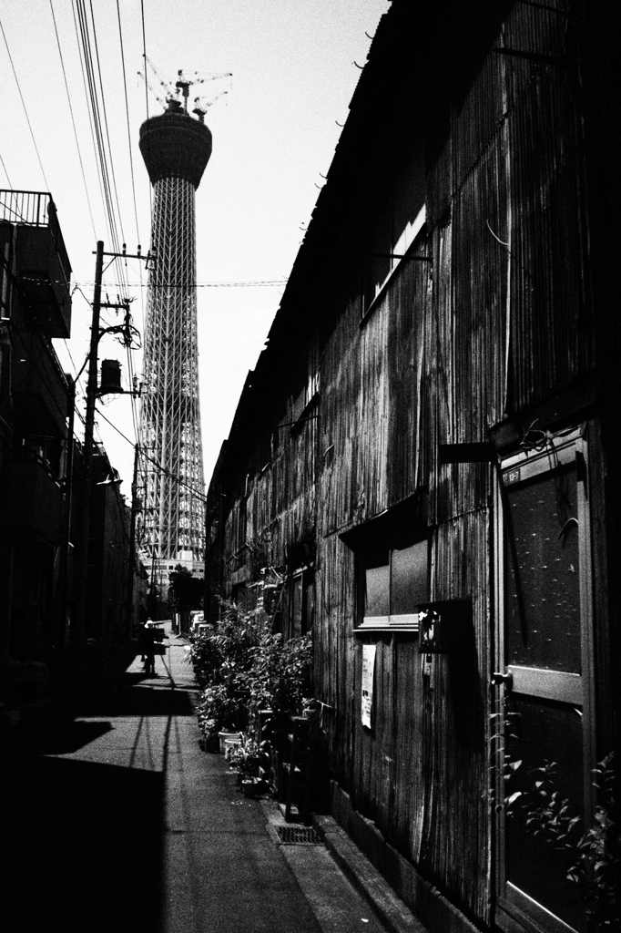 ＡＬＷＡＹＳ～２０１０