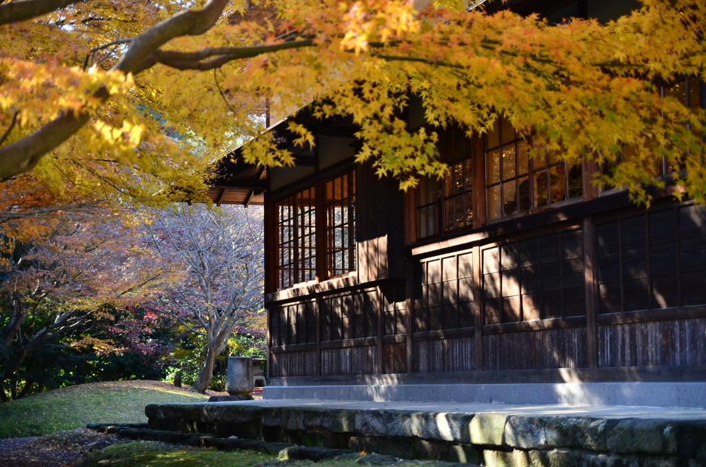 名残の紅葉