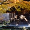 名残の紅葉