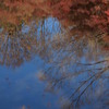 逆さ紅葉