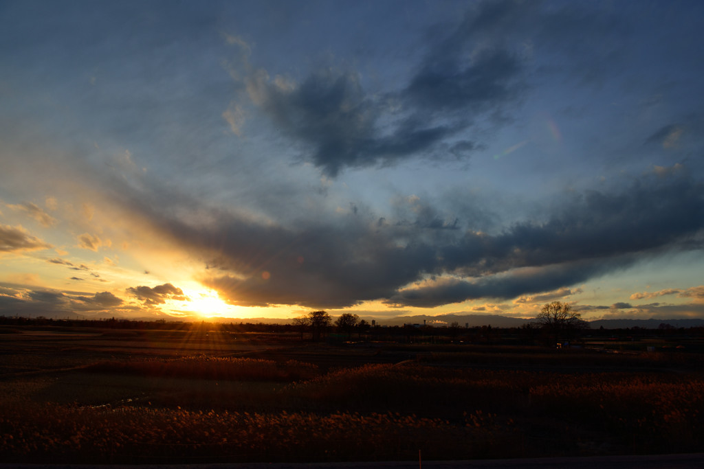 今年の初夕焼け