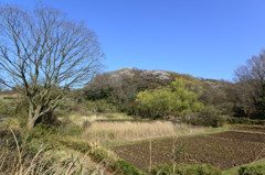 田舎な景色