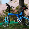 桜とミニベロ