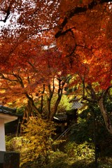 円覚寺　如意庵　山門