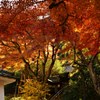 円覚寺　如意庵　山門
