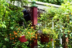 Gardening