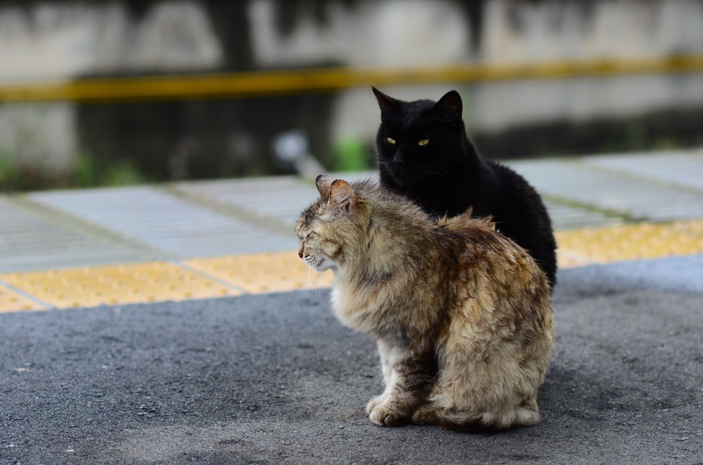 寄り添うふたり