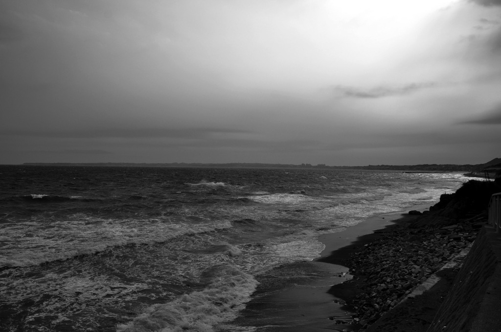海