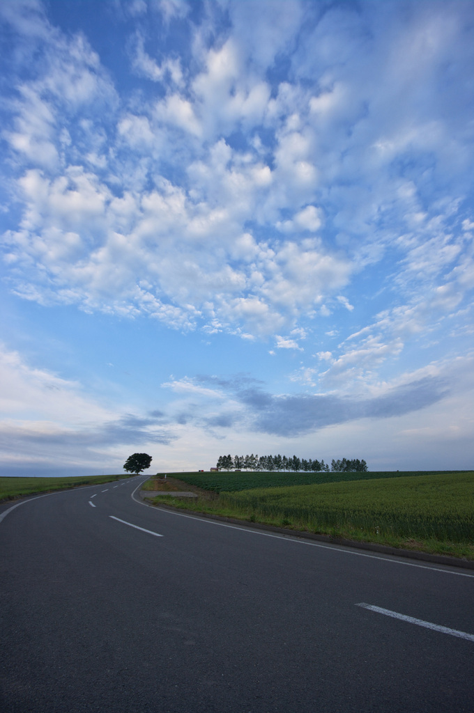 マイルドセブンの丘４