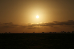 沈まぬ太陽