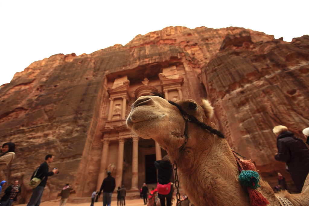EL KHAZNEH &CAMEL