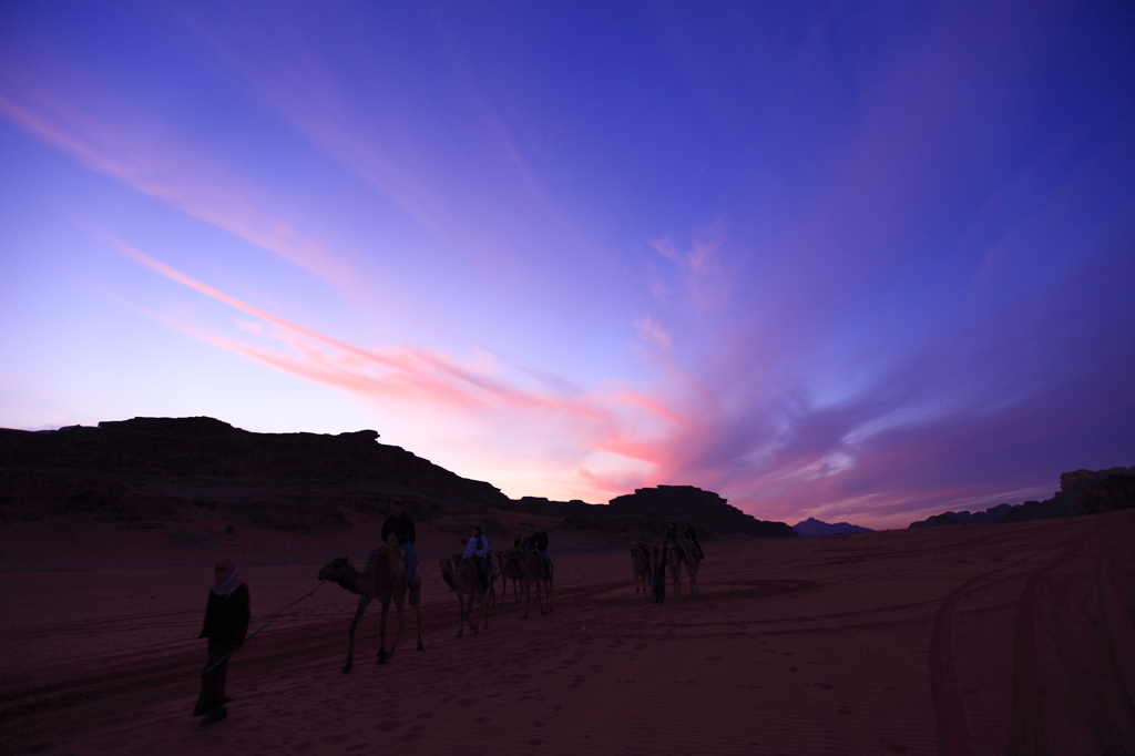 desert on sunset