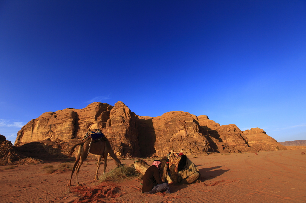 THE DESERT CAMP