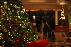 クリスマスツリー