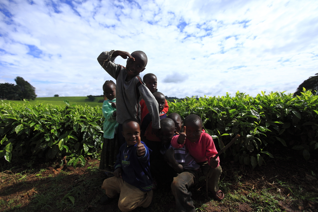 紅茶畑with African Child