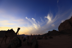 砂漠の夕焼けとラクダ