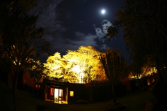 LODGE