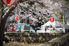 HASAMIへ行こう！―桜陶祭―