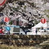 HASAMIへ行こう！―桜陶祭―