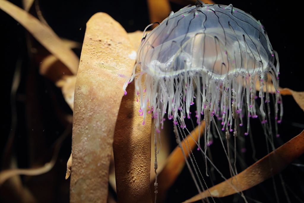 好きだから・・・