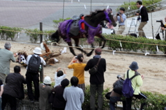 流鏑馬へ行こう！