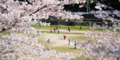 SAKURA-GATE