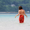 ♪ Summer Dream