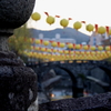 長崎燈會～眼鏡橋～