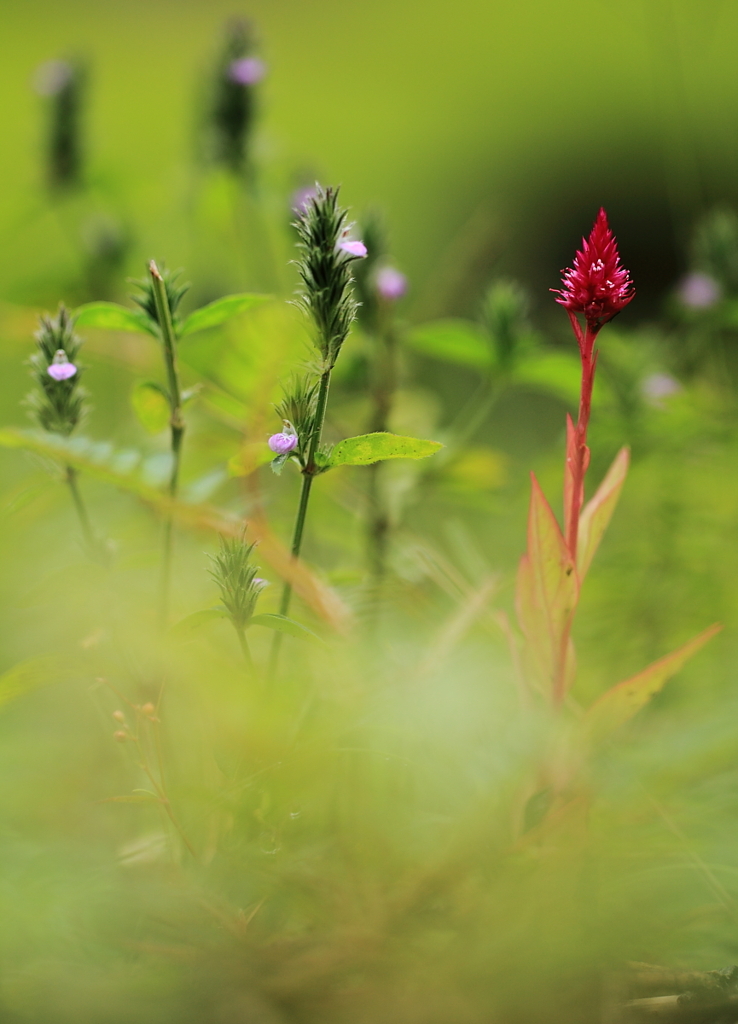 友達以上・・・！？