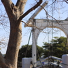 ﾊｳｽﾃﾝﾎﾞｽへ行こう！