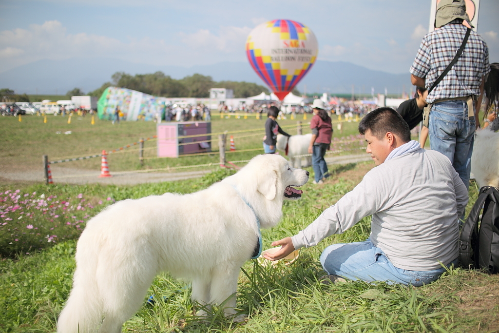 Balloon Fiestaへ行こう！