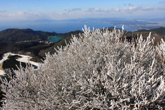 雲仙より橘湾を望む