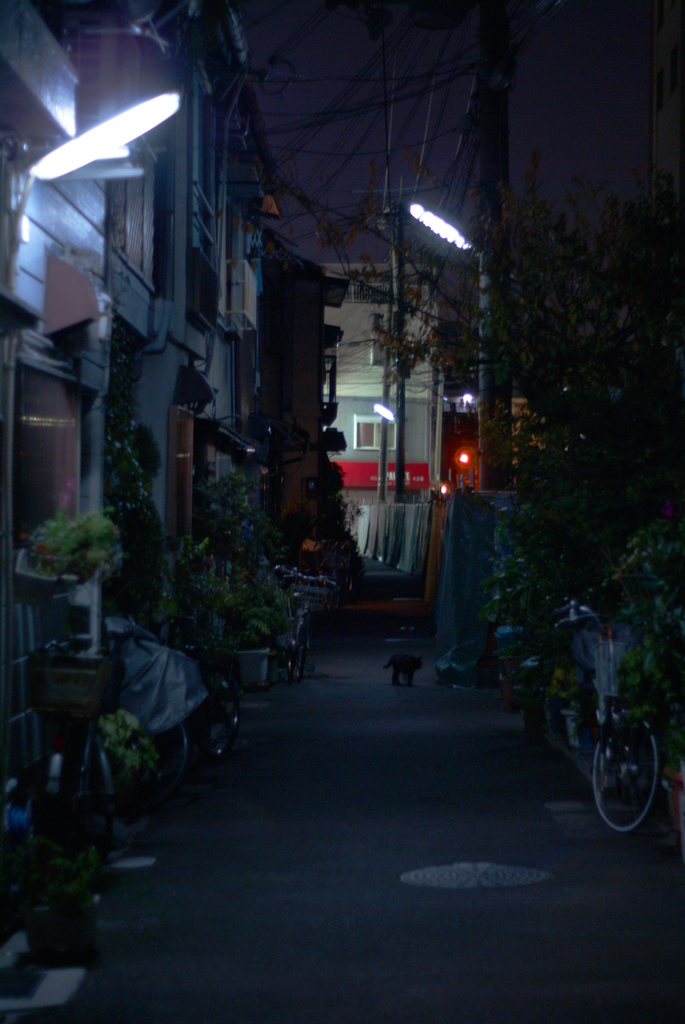 早く帰ろう