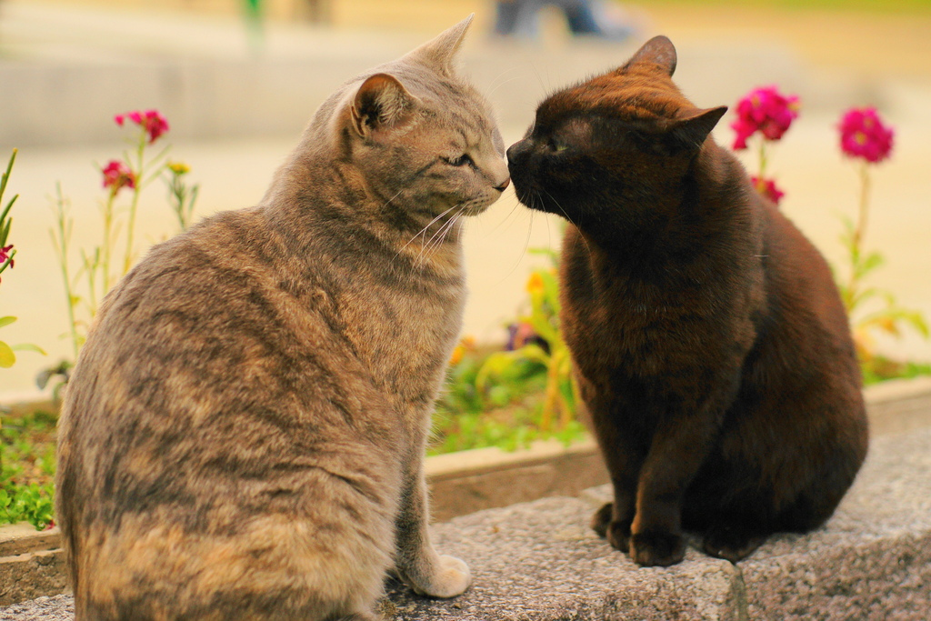 いつまでも