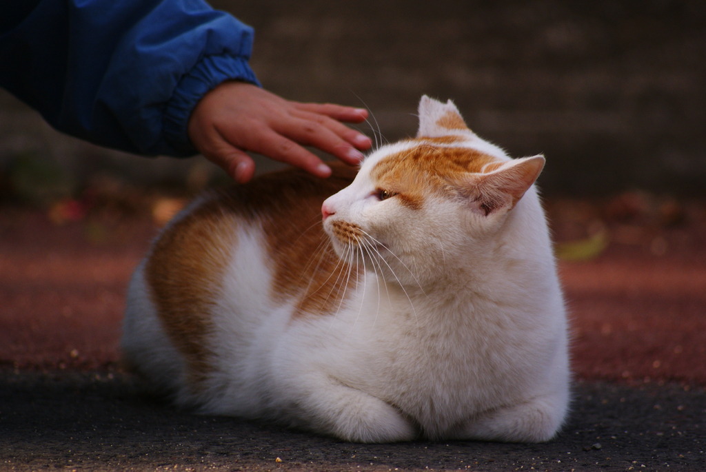 ぬくもり