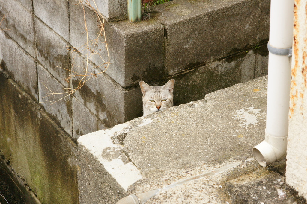 ・・・ったく