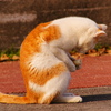 大事な大事な・・・