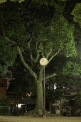 木と時計の背比べ