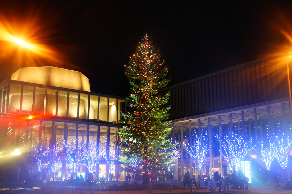 クリスマスツリー