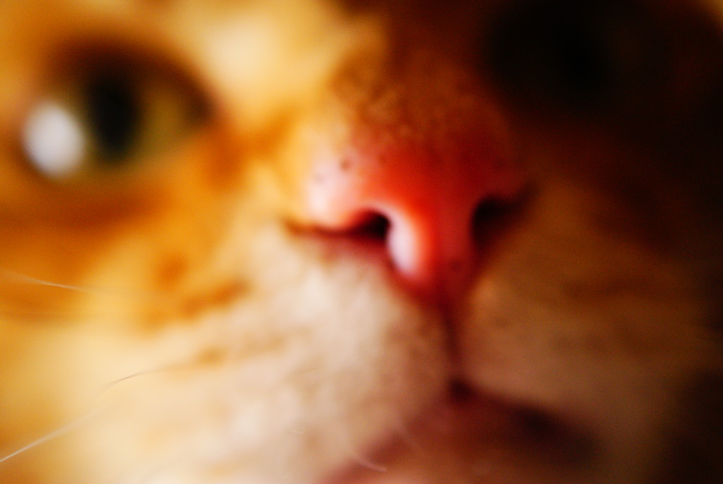 うらめし～