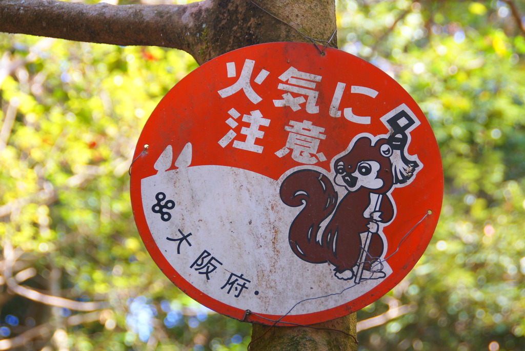 ナゾの生き物