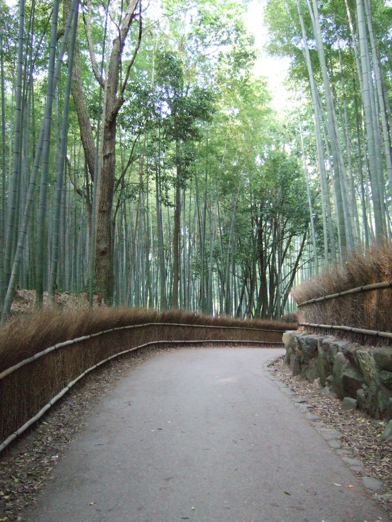 嵐山にて