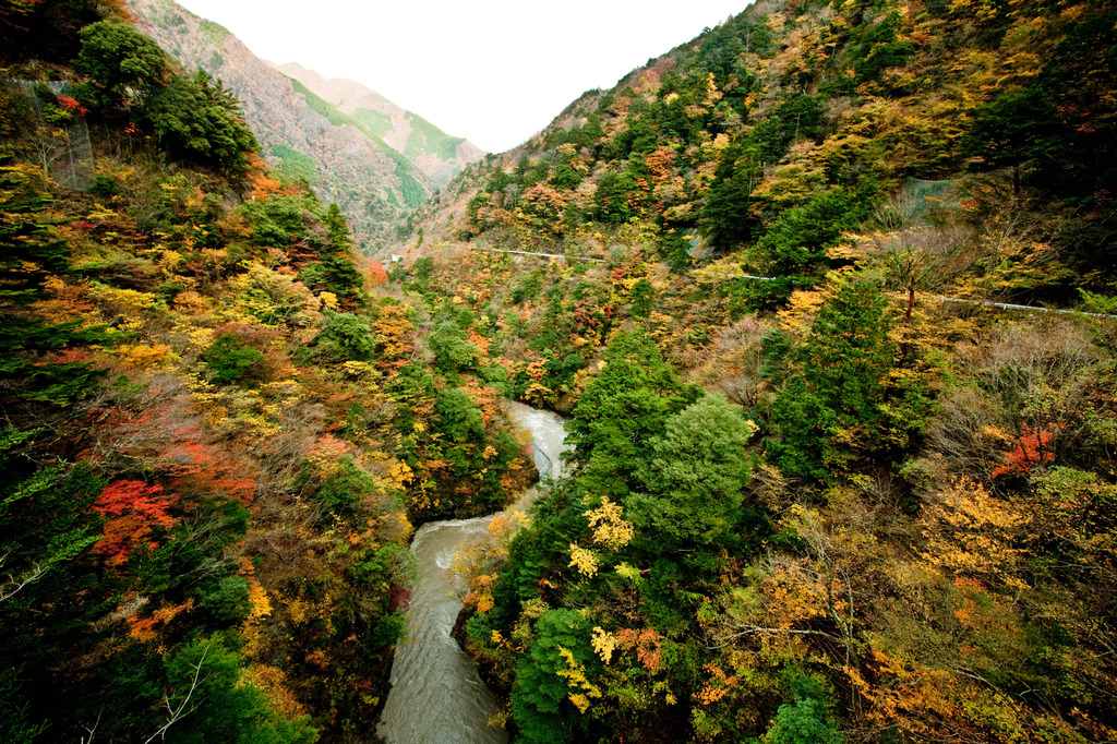 彩りに包まれる峡谷